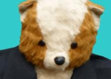 Bearsuit