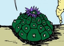Peyote Pete