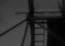 Scaffold