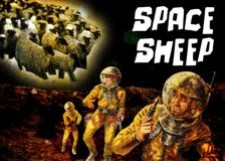 Spacesheep