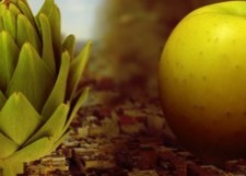 Artichoke vs Apple