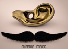 Mirror Image