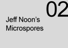 Microspore 02