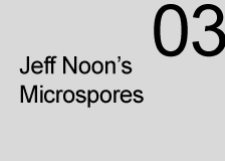 Microspore 03