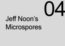 Microspore 04