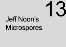 Microspore 13