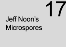 Microspore 17