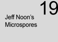 Microspore 19
