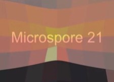 Microspore 21
