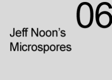 Microspore 06